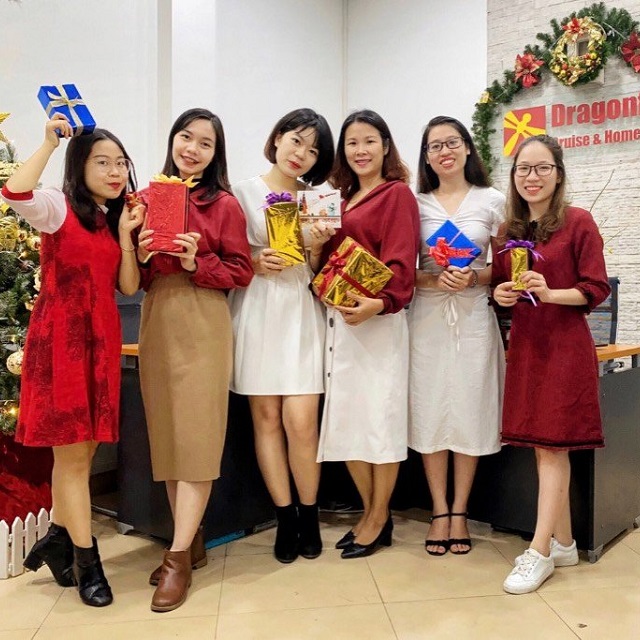 Support Team Whatsapp